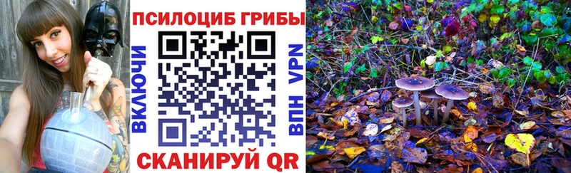 Галлюциногенные грибы Psilocybine cubensis  Кудрово 